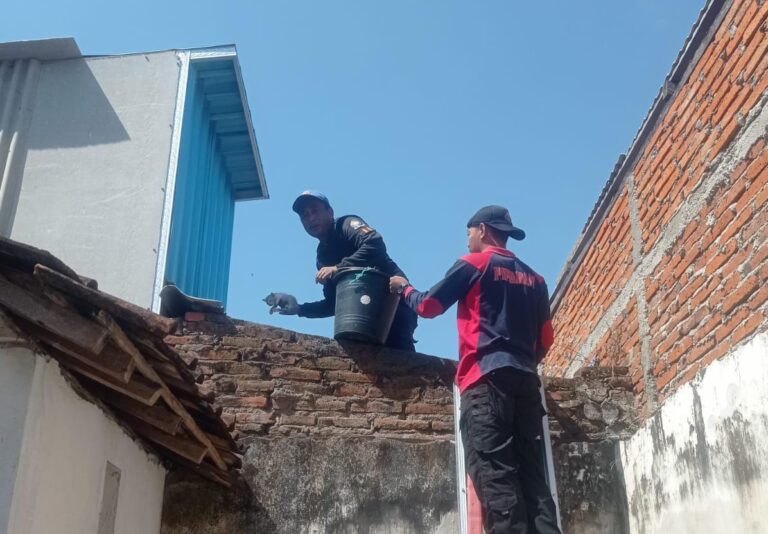 Petugas Dinas Damkar Banyuwangi menyelamatkan empat kucing yang terjebak di saluran air, Selasa (26/9/2023). (foto/ist)