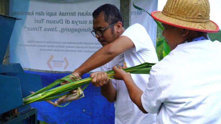 Chopper Bertenaga Surya Karya Dosen PCU, Bantu Peternak Sapi di Tulungagung