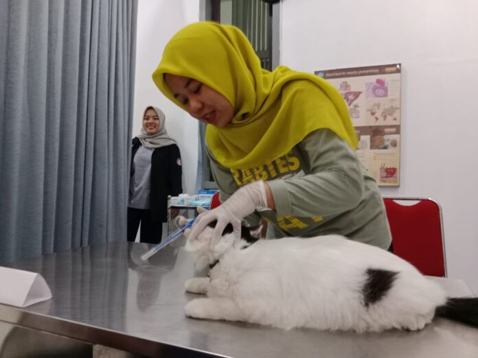 Vaksinasi rabies ke hewan piaraan di Banyuwangi, Rabu (27/9/2023).