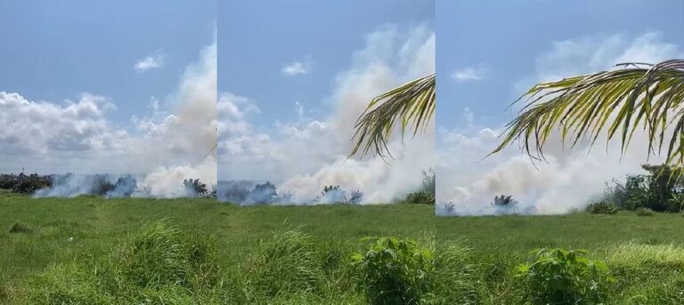 Kebakaran lahan melanda sejumlah titik di Banyuwangi dalam seminggu terakhir.