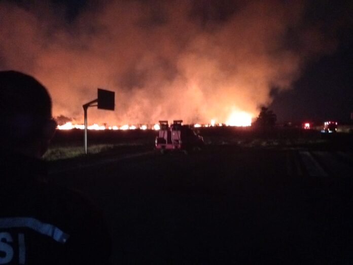 Lahan di Bandara Banyuwangi terbakar, Minggu (29/10/2023). (foto/ist)