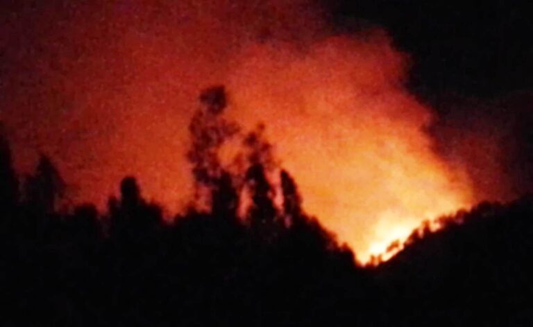 Kebakaran melanda kawasan Gunung Ijen, Banyuwangi. (foto/ist)