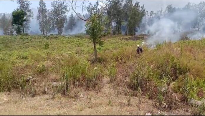 Petugas gabungan memadamkan sisa api di puncak Ijen, Banyuwangi, Rabu (11/20/2023). (foto/ist)