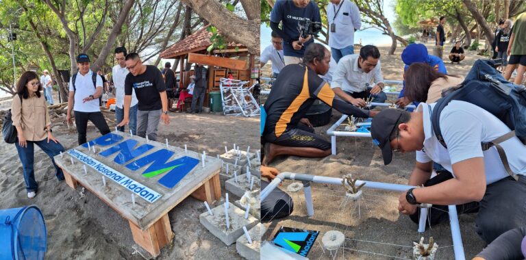 Aksi konservasi terumbu karang yang dilakukan PNM di pesisir Bangsring Under Water, Banyuwangi, Kamis (9/11/2023). (foto/ist)