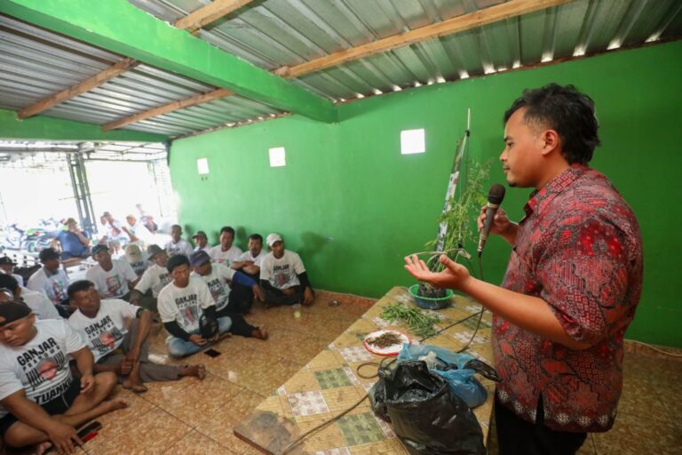 Ganjar Creasi Latih Peternak di Bojonegoro Budi Daya dan Pengolahan Indigofera Sebagai Pakan Alternatif