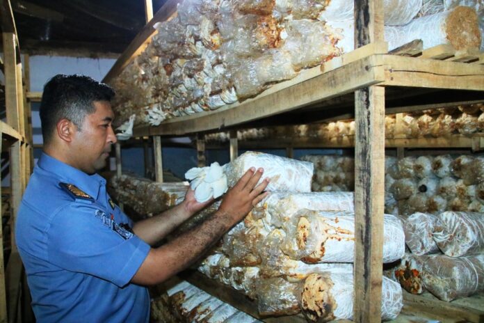Lapas Banyuwangi kembangkan pelatihan budidaya jamur tiram. (foto/ist)