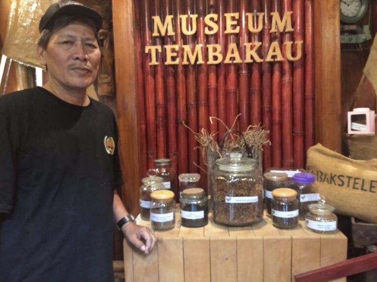 Museum Tembakau Jember ‘Ingatkan’ Kebutuhan Pasar Dunia 25 Persen Belum Terpenuhi